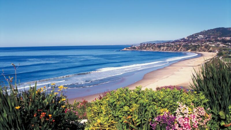 Ocean Front Beach View